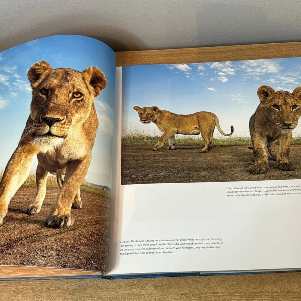 Serengeti Spy by Anup Shah